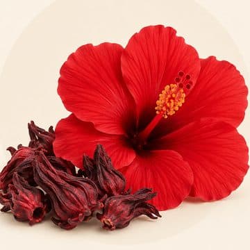 Hibiscus, ingrédient des jus Nanou Detox