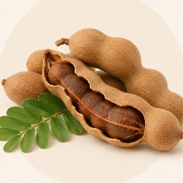 Tamarin, ingrédient des jus Nanou Detox